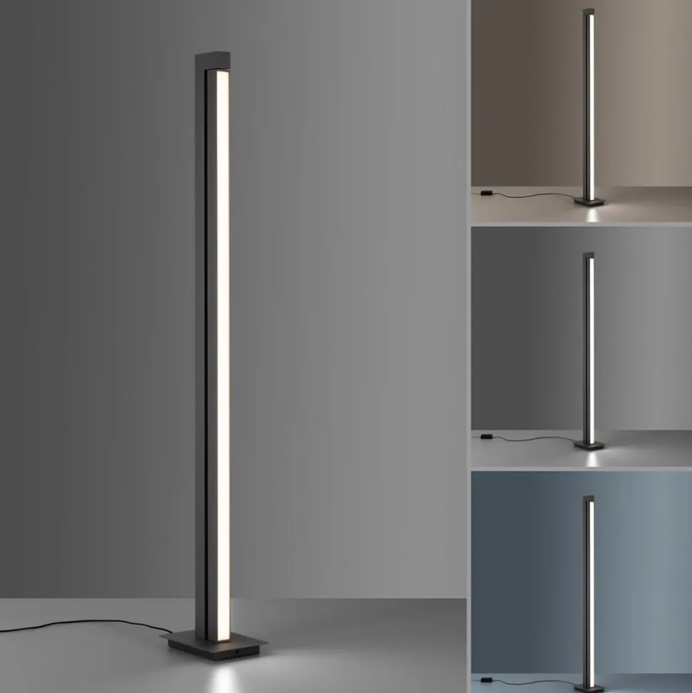 LED vloerlamp PURE Lines, antraciet, afstandsbediening, 140 cm