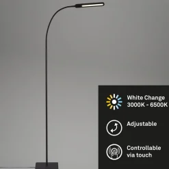 LED vloerlamp Servo, dimbaar, CCT, zwart