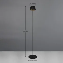 LED vloerlamp Suarez, zwart, hoogte 123 cm, metaal