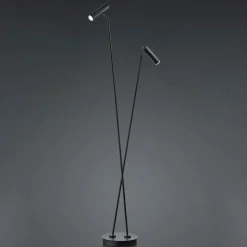 LED vloerlamp Tom, 2-lamps, zwart