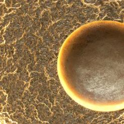 LED wandlamp Urano, elegant ontwerp