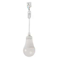 LED werklamp bouwlamp 12W 4.000K 1.160lm
