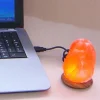 LED zoutlamp Compus met USB voor computer&Laptop