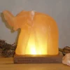 LED zoutlamp Elefant met lamphouder, barnsteen
