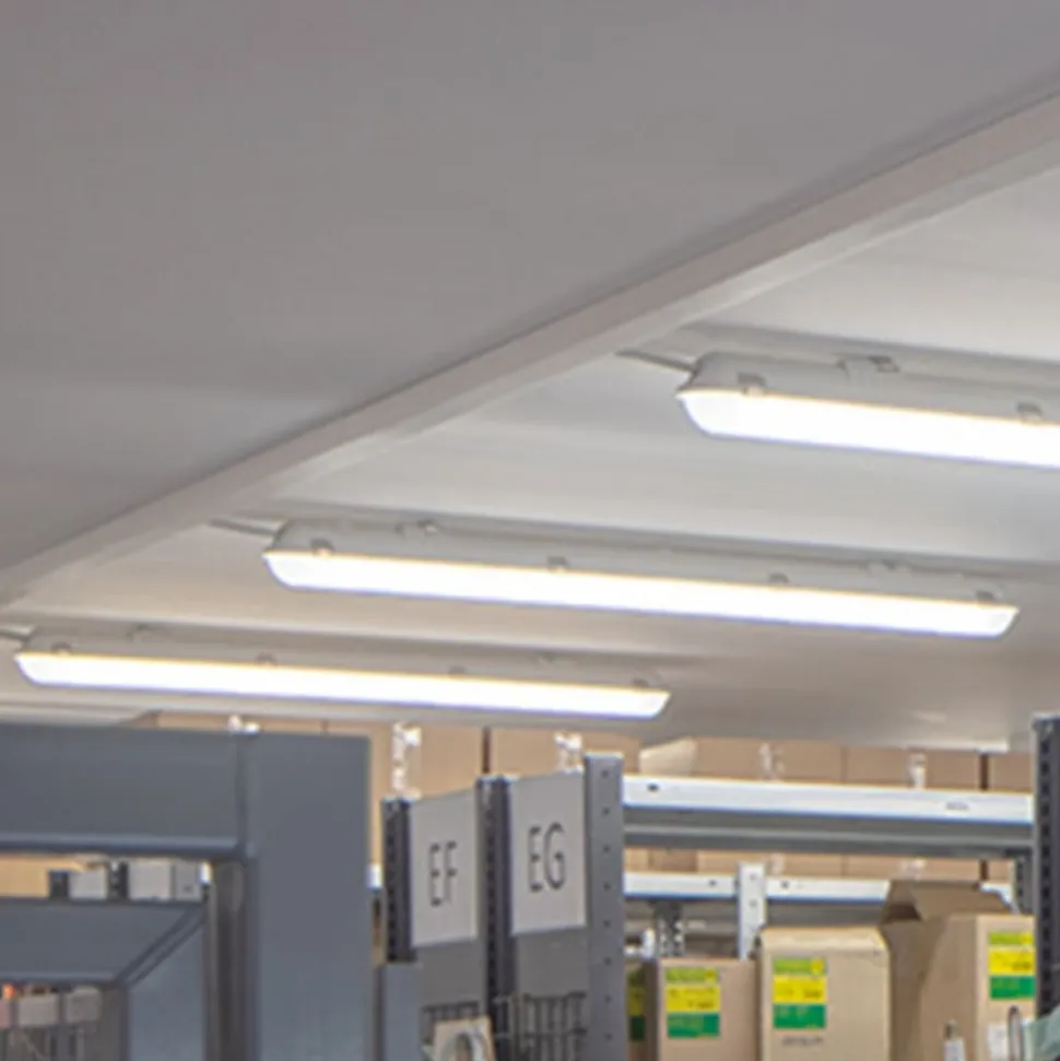 LED-kuiplamp parsa-PSO, 160 cm, 5.847 lm