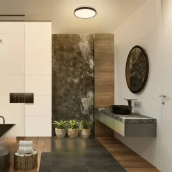 LEDVANCE Bathroom Ceiling LED plafondlamp zwart