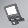 LEDVANCE Endura Floodlight sensor LED spot 30 W