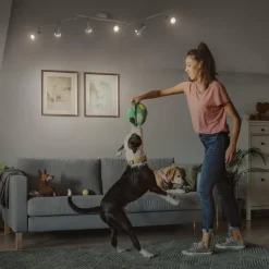 LEDVANCE LED plafondspot GU10, 6-lamps, wit