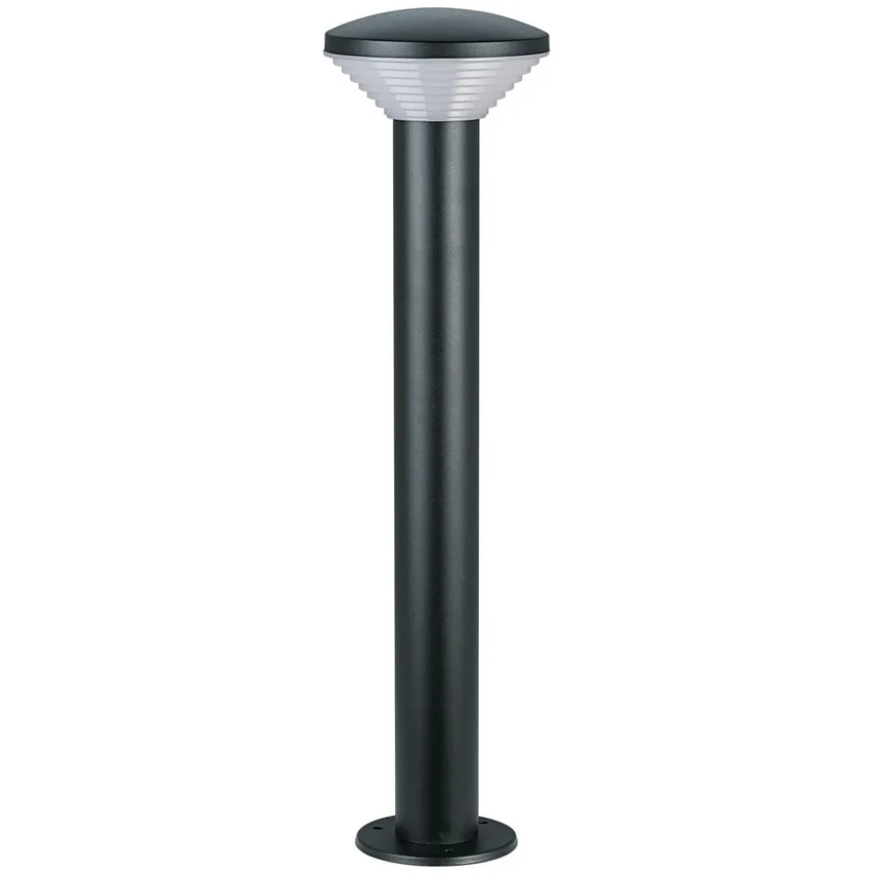 LEDVANCE LED tuinpadverlichting Endura Hybrid Olona, donkergrijs