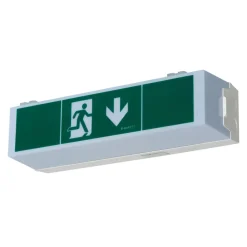 LED-veiligheidslamp C-Lux Standaard, centrale voeding