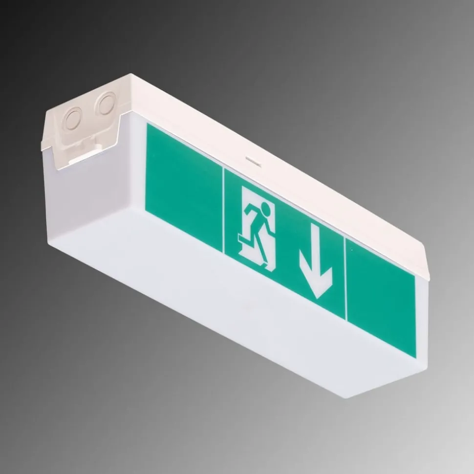 LED-veiligheidslamp C-Lux Standaard, enkele batterij