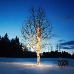 Lichtketting Extra 50 LED's 2.850K