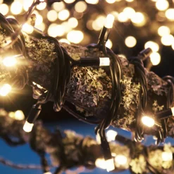 Lichtketting Extra 50 LED's 2.850K