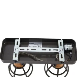 Lindby Arinthea plafondspot, 2-lamps, zwart, staal, E14