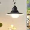 Lindby buiten hanglamp Roisin, antraciet, metaal, Ø 32cm