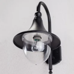 Lindby buitenwandlamp Daphne, zwart, metaal, E27