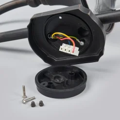 Lindby buitenwandlamp Daphne, antiek zwart, sensor, E27