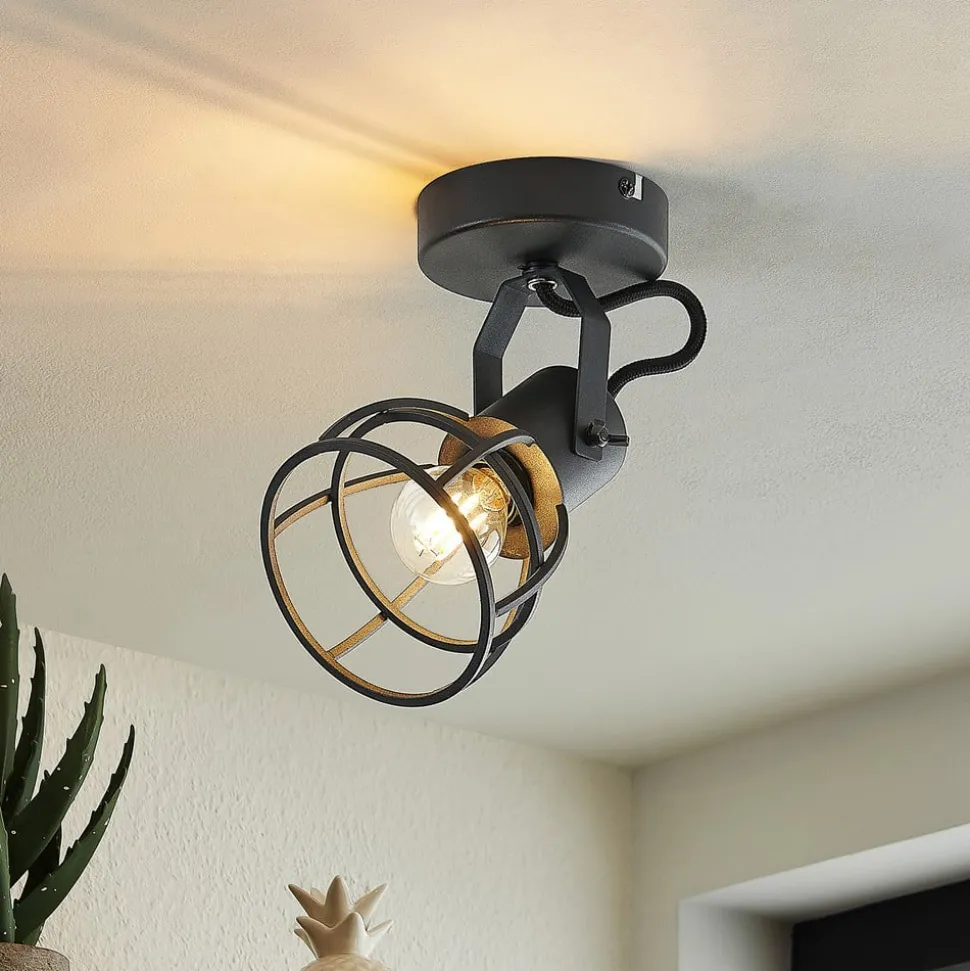 Lindby Flintos kooi-spot, 1-lamp, zwart