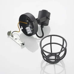 Lindby Flintos kooi-spot, 1-lamp, zwart