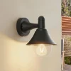 Lindby Keicy buitenwandlamp, zwart, kunststof, IP44