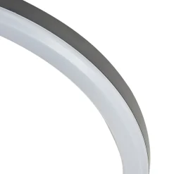 Lindby LED buiten plafondlamp Finian, Ø 31 cm, CCT, dimbaar