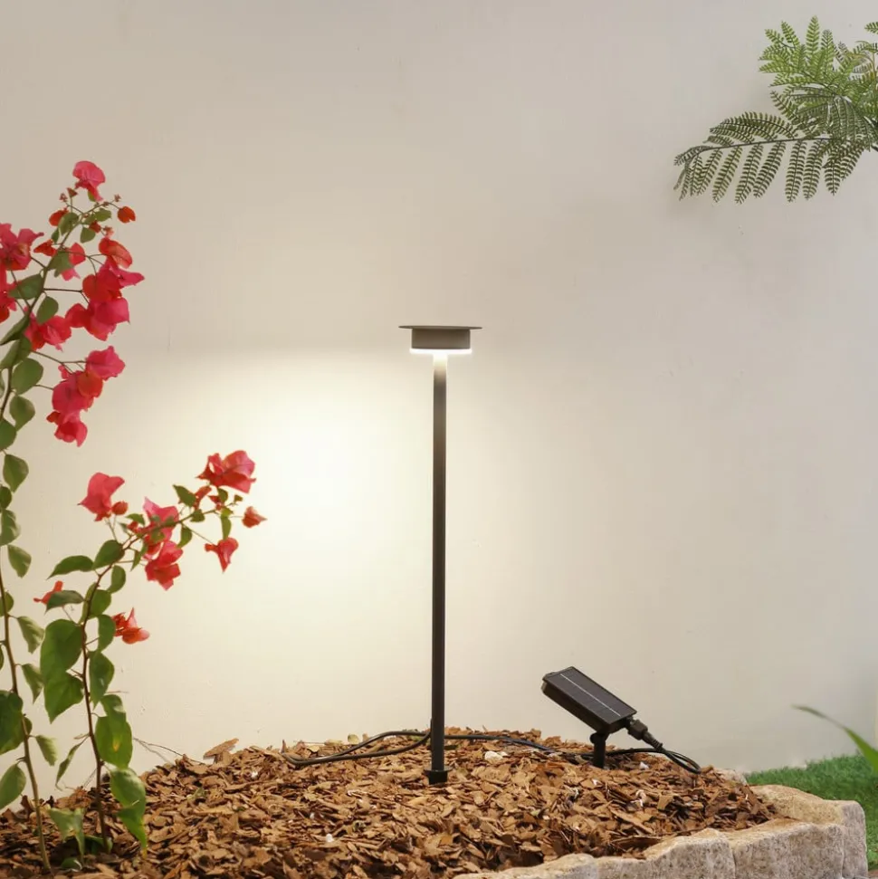 Lindby LED lamp op zonne-energie Lyris, zwart, aluminium, 3.000 K