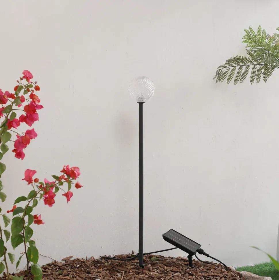 Lindby LED lamp op zonne-energie Brindley, zwart, glas, IP65