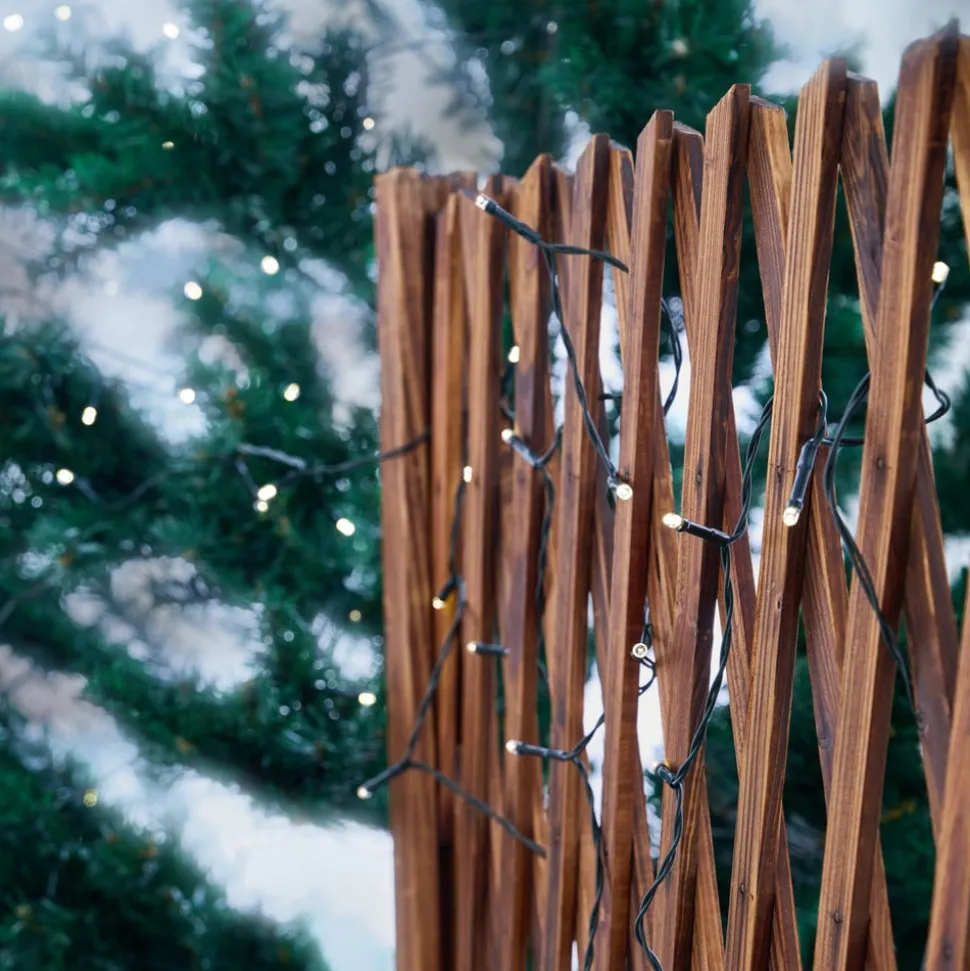 Lindby LED lichtketting Parrik, 100 lampjes, 1 m, timer