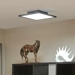 Lindby LED paneel Lamin, zwart, 30 cm, CCT, dimbaar, afstandsbediening