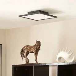 Lindby LED paneel Lamin, zwart, 30 cm, CCT, dimbaar, afstandsbediening