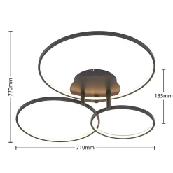 Lindby LED plafondlamp Rayk, zwart, metaal, 77 cm, dimbaar
