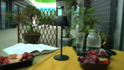 Lindby LED tafellamp Arietty, zwart, dimbaar, IP65