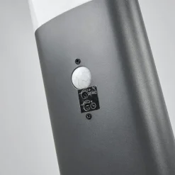 Lindby LED tuinpadverlichting Marius, 80 cm, antraciet, sensor