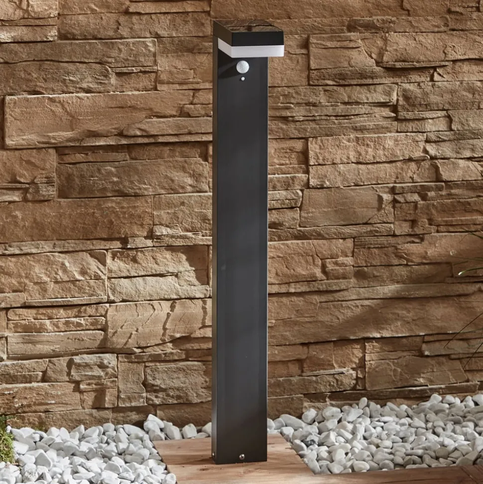 Lindby LED tuinpadverlichting Chioma, antraciet, sensor