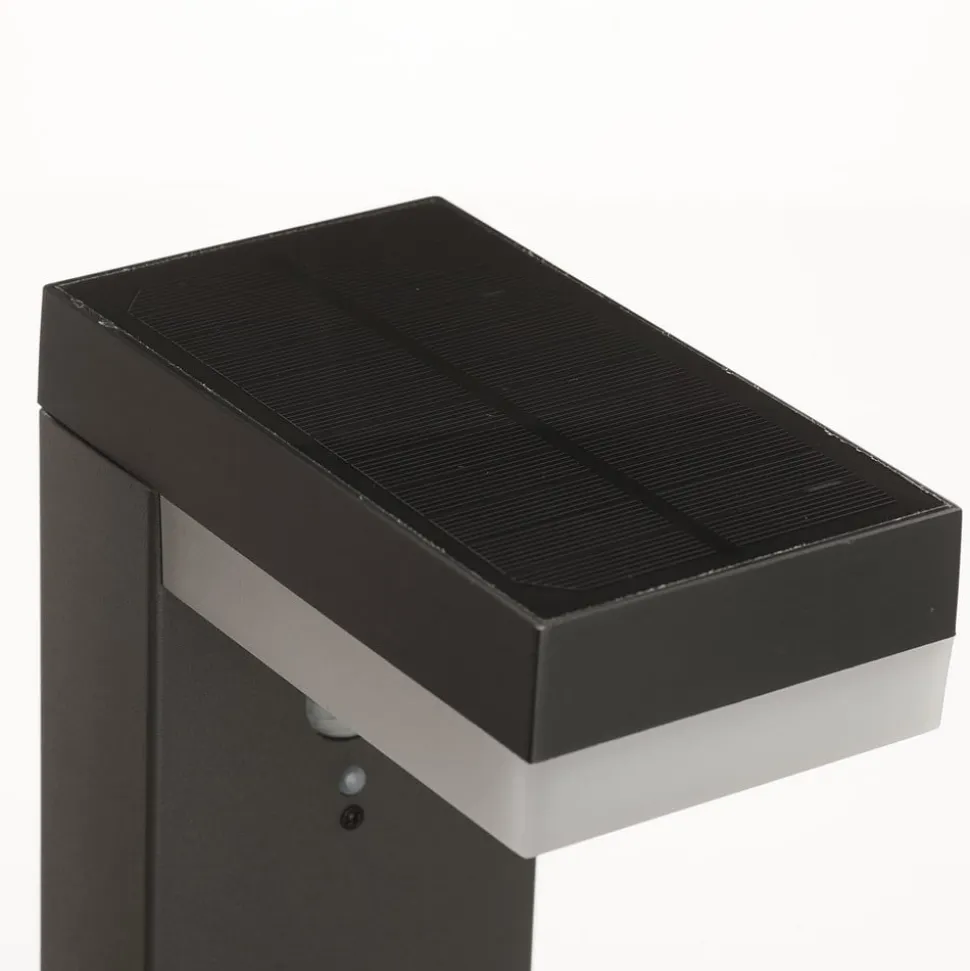 Lindby LED tuinpadverlichting Chioma, antraciet, sensor