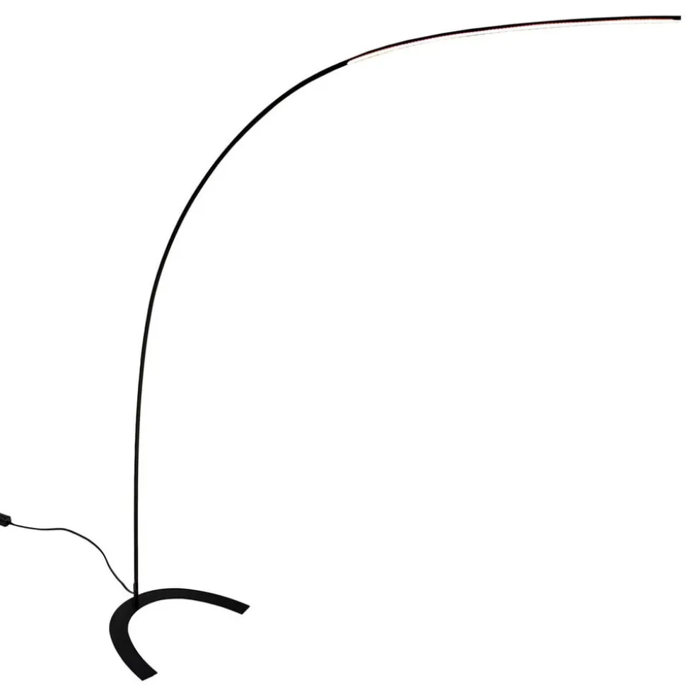 Lindby LED vloerlamp Danua, zwart, metaal, hoogte 200 cm