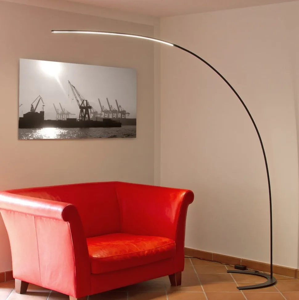 Lindby LED vloerlamp Danua, zwart, metaal, hoogte 200 cm