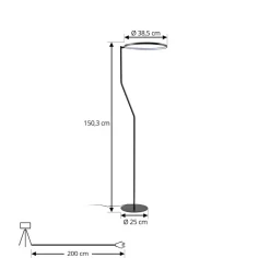 Lindby LED vloerlamp Rayon, zwart, metaal, hoogte 150,3 cm