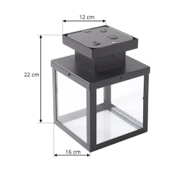 Lindby Mandus buiten plafondlamp, zwart, roestvrij staal, 22cm