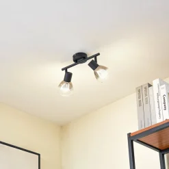 Lindby Pendura plafondlamp, 2-lamps, zwart, glas