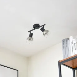 Lindby Pendura plafondlamp, 2-lamps, zwart, glas