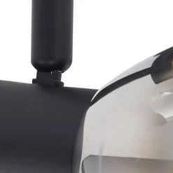 Lindby Pendura plafondlamp, 2-lamps, zwart, glas