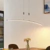Lindby Phillie LED hanglamp, in hoogte verstelbaar