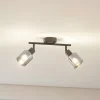 Lindby plafondlamp Netty, 2-lamps, grijs, glas