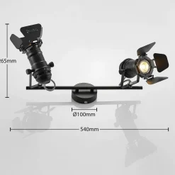 Lindby plafondlamp Tilen, 2-lamps, zwart, metaal, 26cm