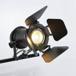 Lindby plafondlamp Tilen, 2-lamps, zwart, metaal, 26cm