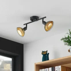 Lindby plafondspot Erin, zwart/goud, 2-lamps, glas