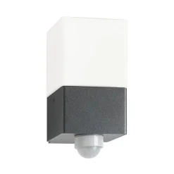 Linus buitenwandlamp, grafiet, sensor, roestvrij staal, glas, E27