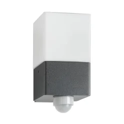 Linus buitenwandlamp, grafiet, sensor, roestvrij staal, glas, E27