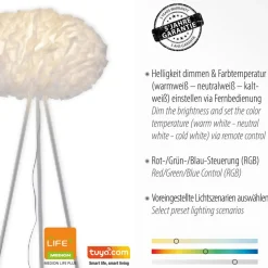 LOLA SMART LED vloerlamp Naomi app CCT RGB